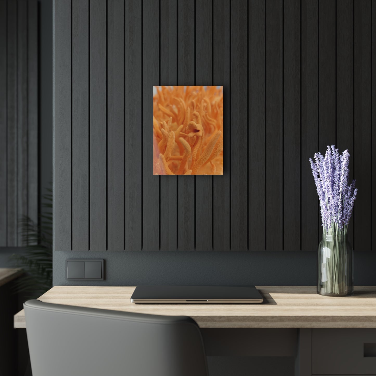 Cultivated Cordyceps- Acrylic Prints (French Cleat Hanging)