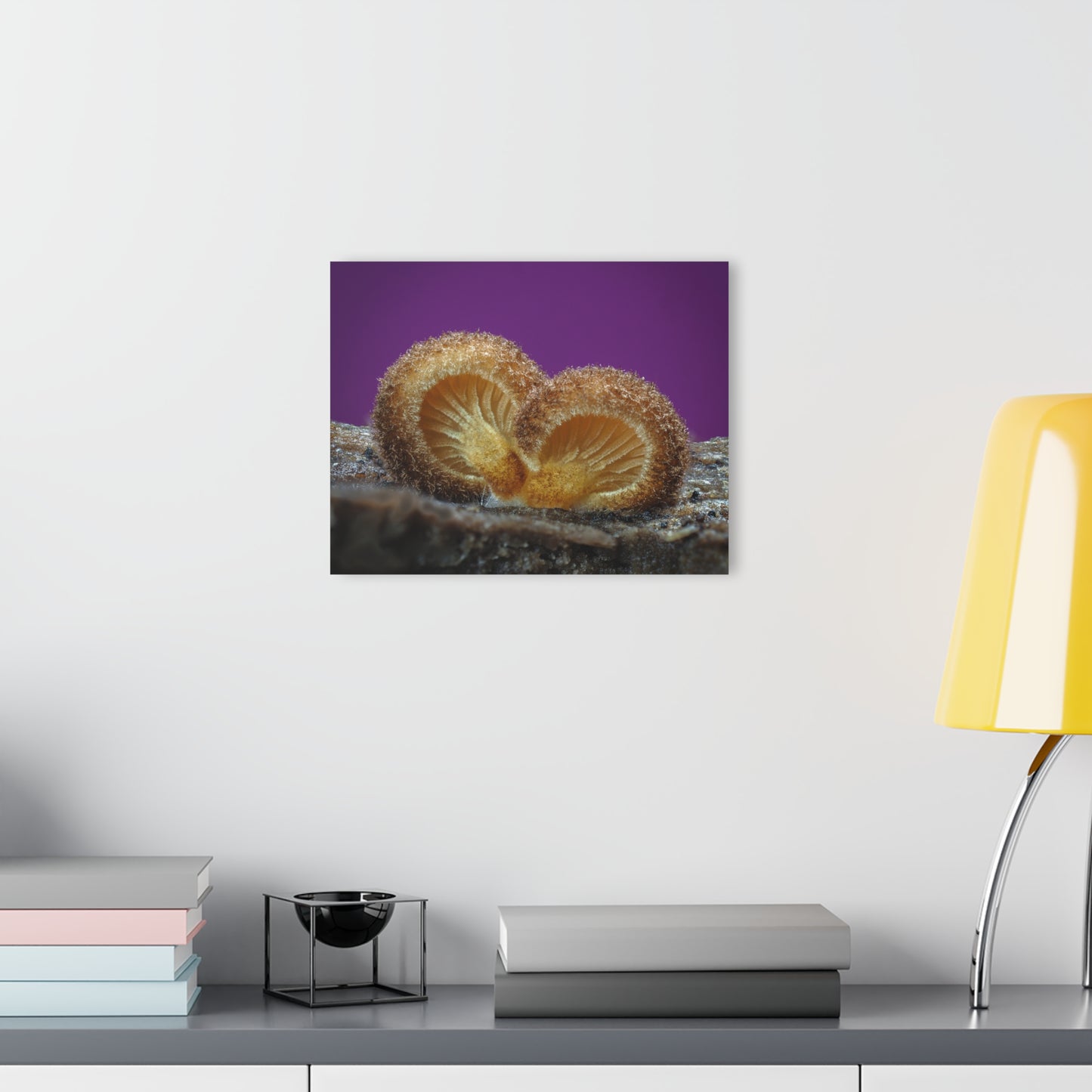 Acrylic Prints (French Cleat Hanging)