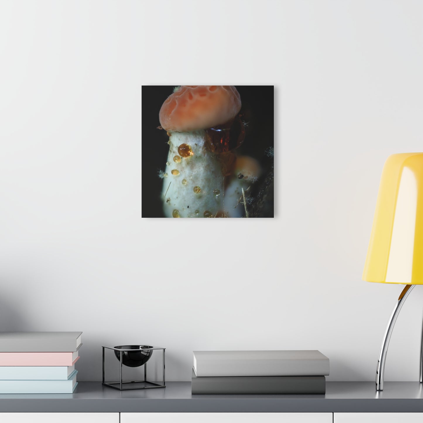 Acrylic Prints (French Cleat Hanging)