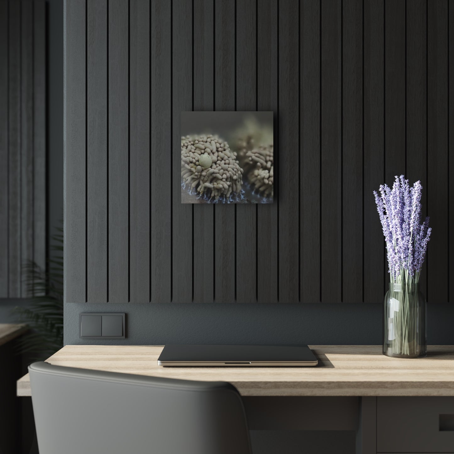 Slime Mold- Acrylic Prints (French Cleat Hanging)