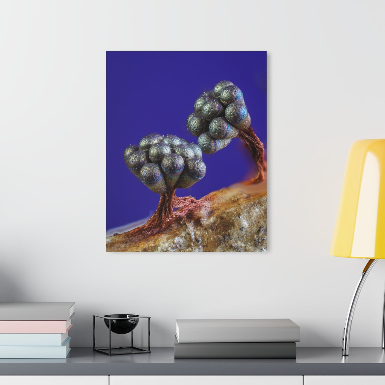 Macro Prints