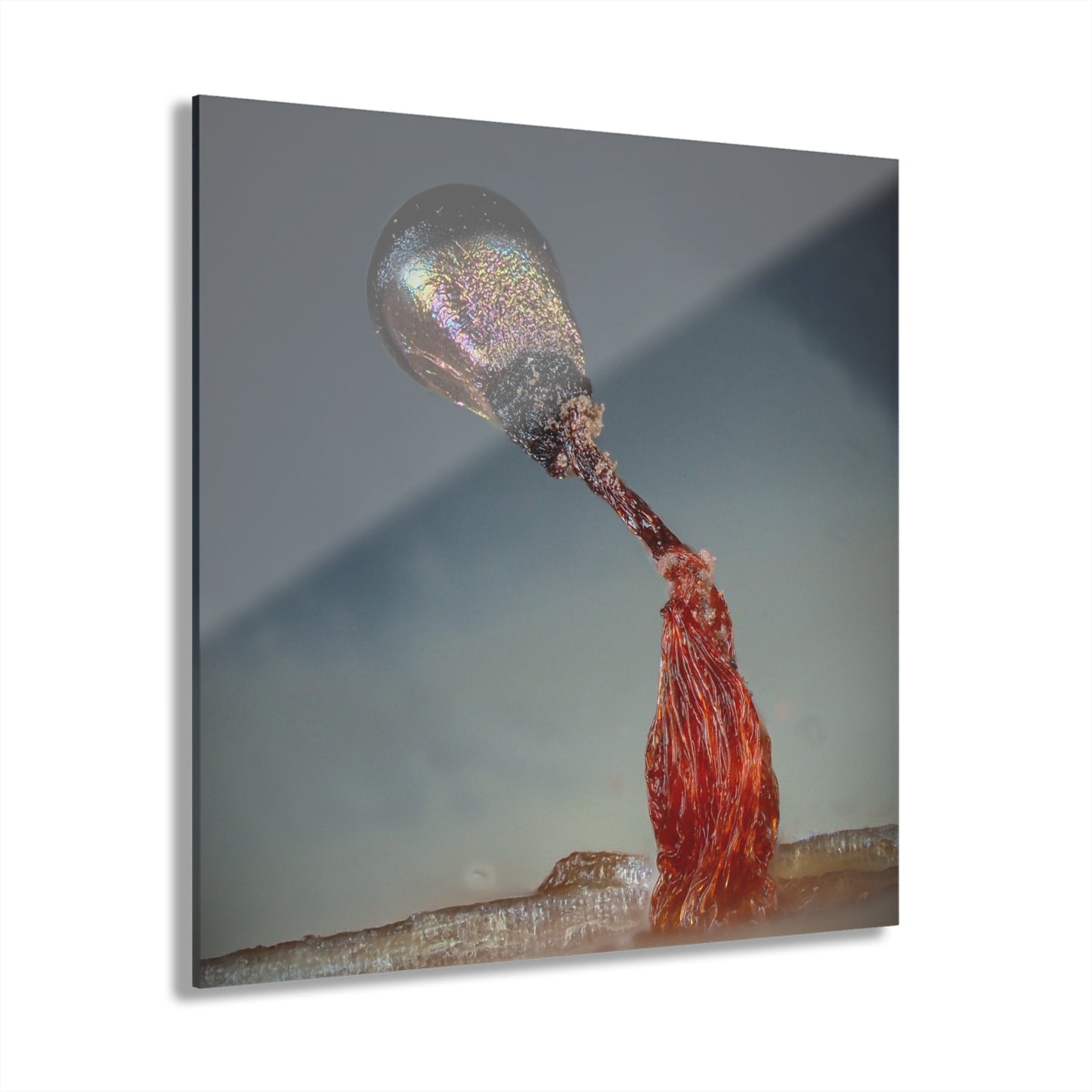 Acrylic Prints (French Cleat Hanging)