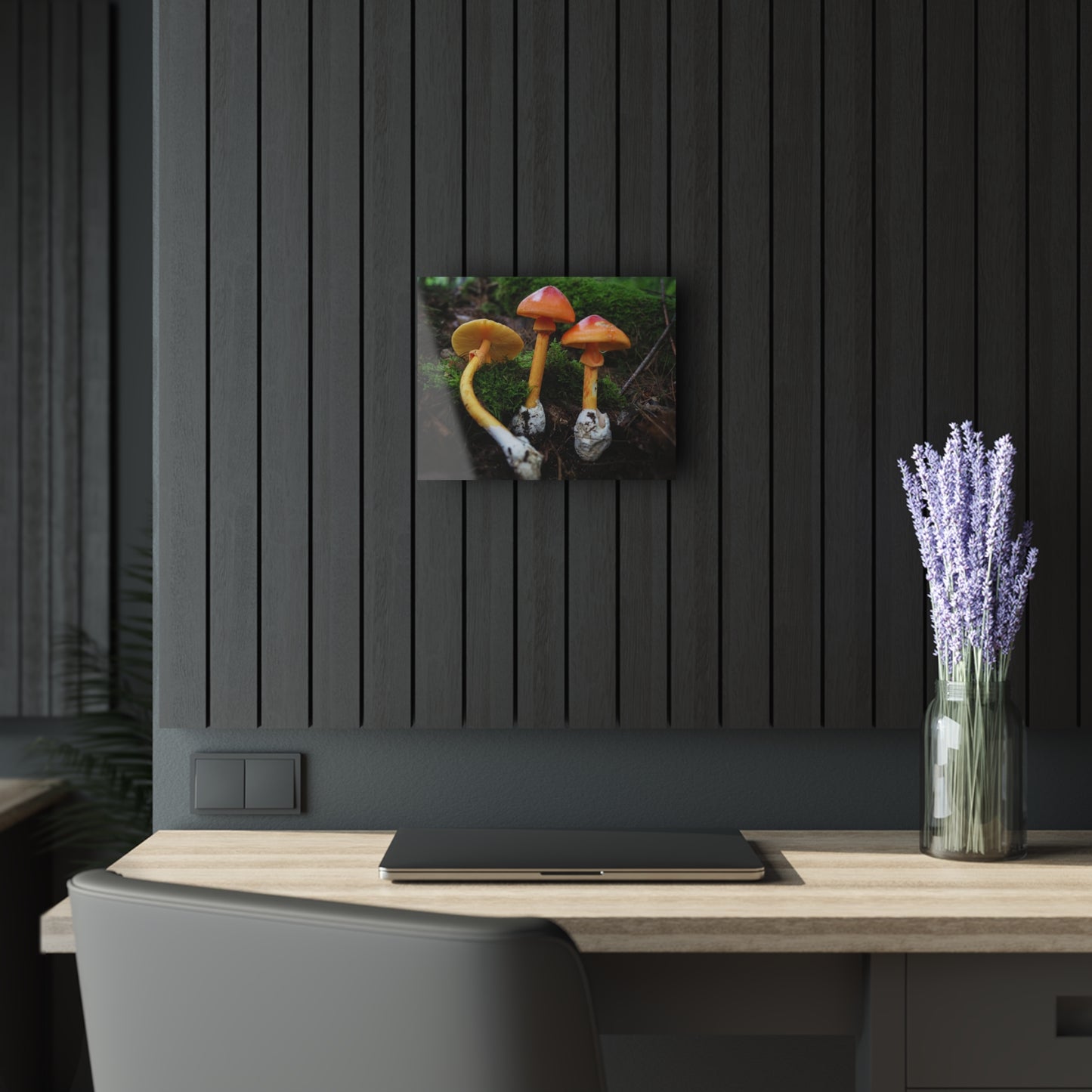 Amanita jacksonii- Acrylic Prints (French Cleat Hanging)