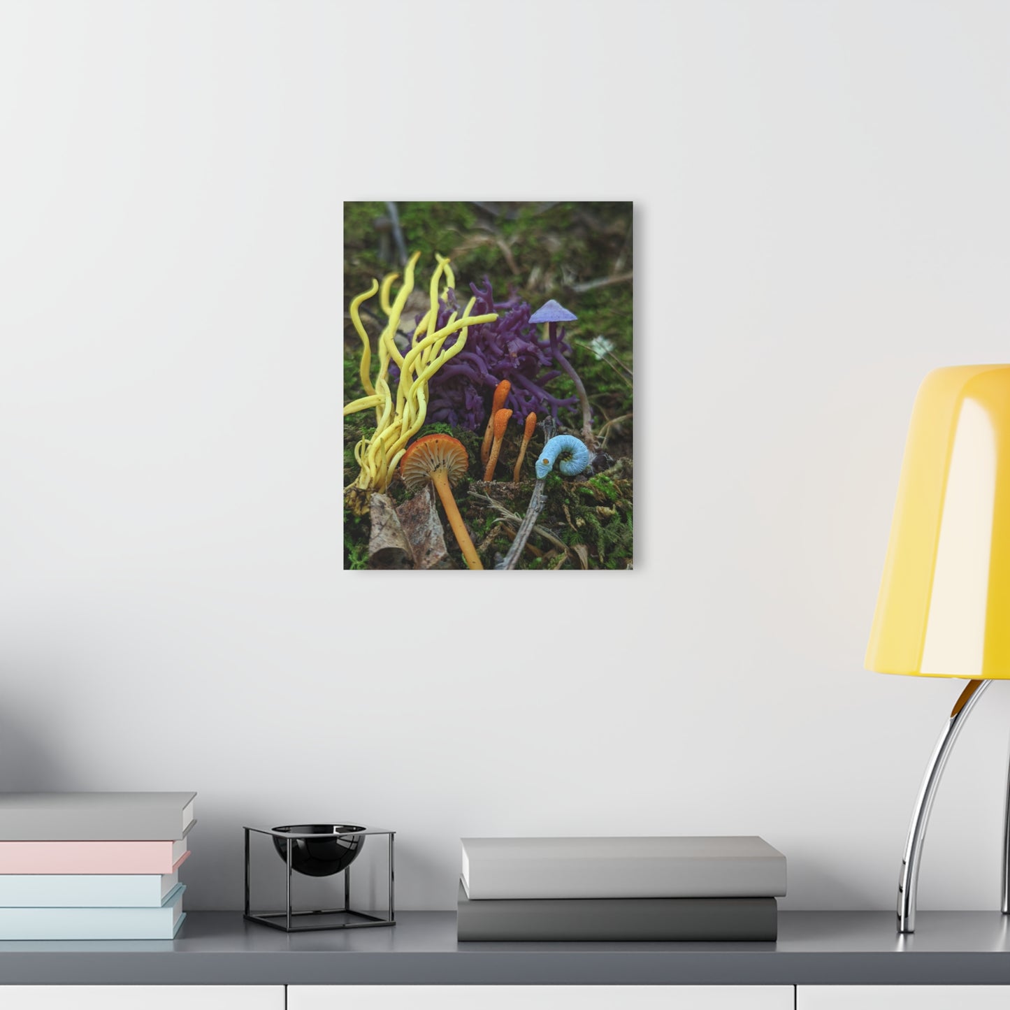 Acrylic Prints (French Cleat Hanging)