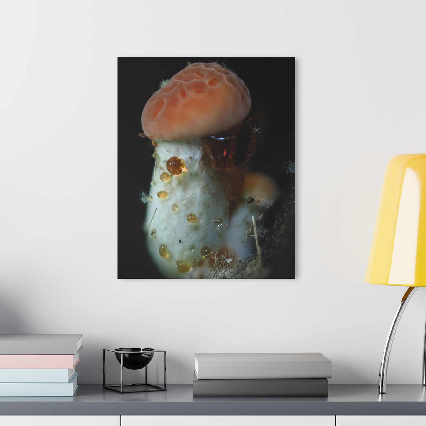 Acrylic Prints (French Cleat Hanging)