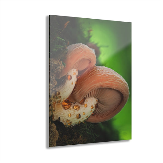 Wrinkled Peach- Acrylic Prints (French Cleat Hanging)