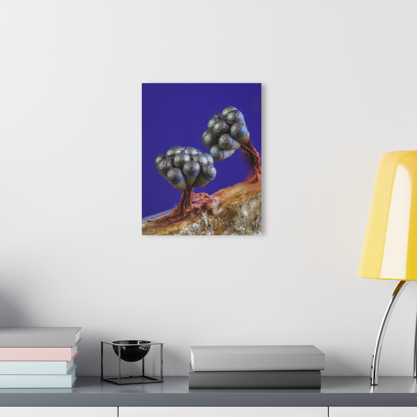 Wasp Nest Slime Mold Acrylic Prints (French Cleat Hanging)