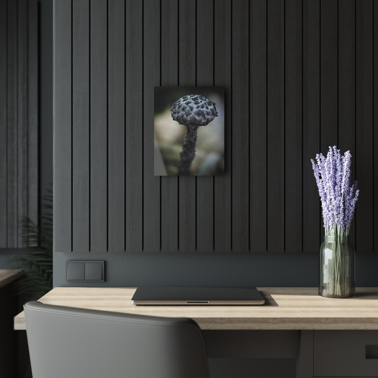 Old man of the woods- Acrylic Prints (French Cleat Hanging)
