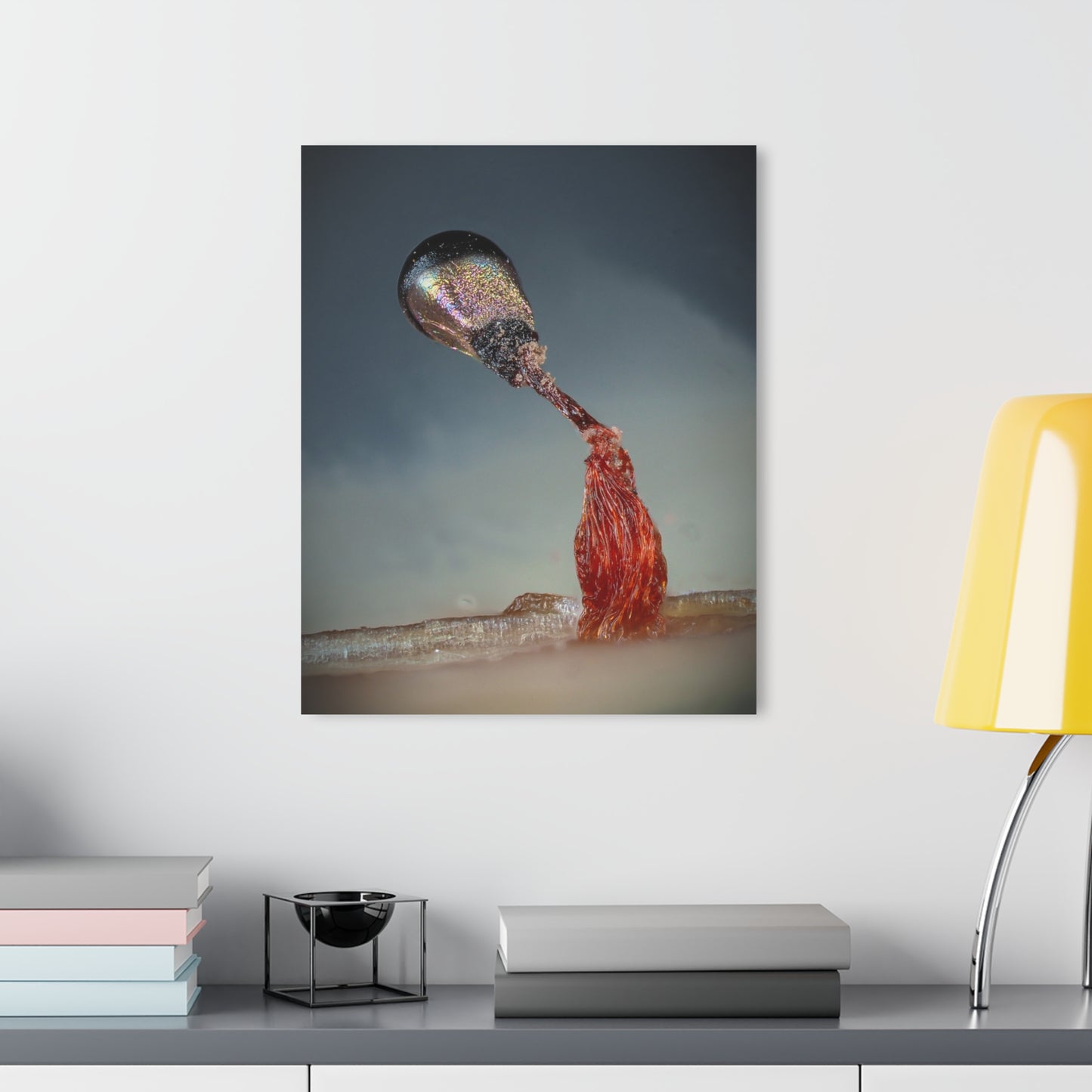 Acrylic Prints (French Cleat Hanging)
