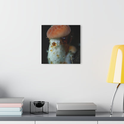 Acrylic Prints (French Cleat Hanging)