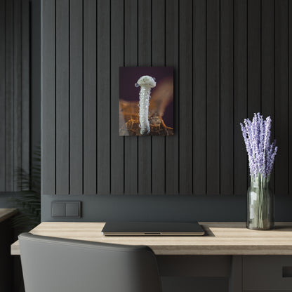 Acrylic Prints (French Cleat Hanging)
