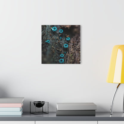 Chlorociboria- Acrylic Prints (French Cleat Hanging)