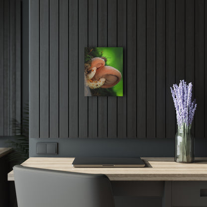 Wrinkled Peach- Acrylic Prints (French Cleat Hanging)