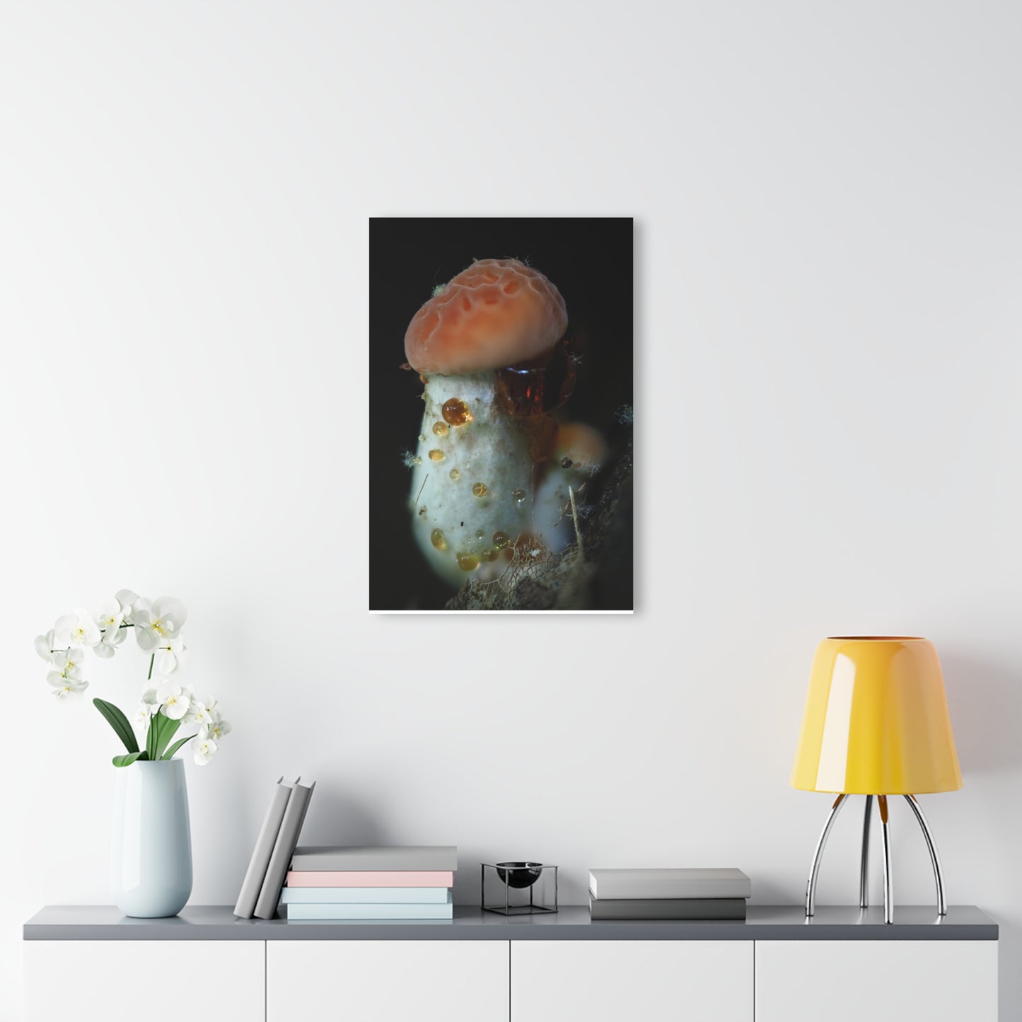 Acrylic Prints (French Cleat Hanging)