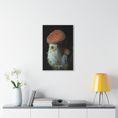 Acrylic Prints (French Cleat Hanging)