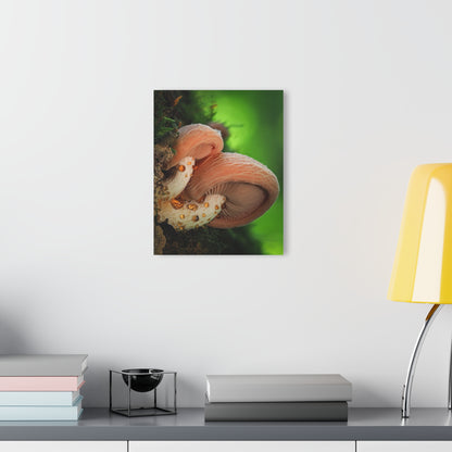 Wrinkled Peach- Acrylic Prints (French Cleat Hanging)