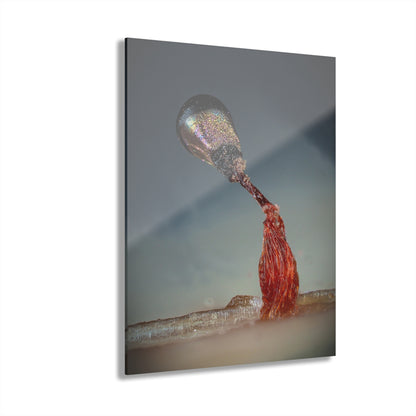 Acrylic Prints (French Cleat Hanging)