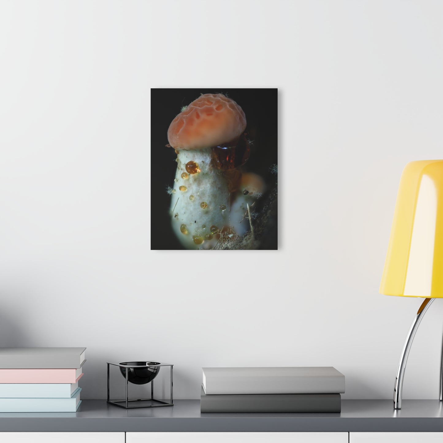 Acrylic Prints (French Cleat Hanging)