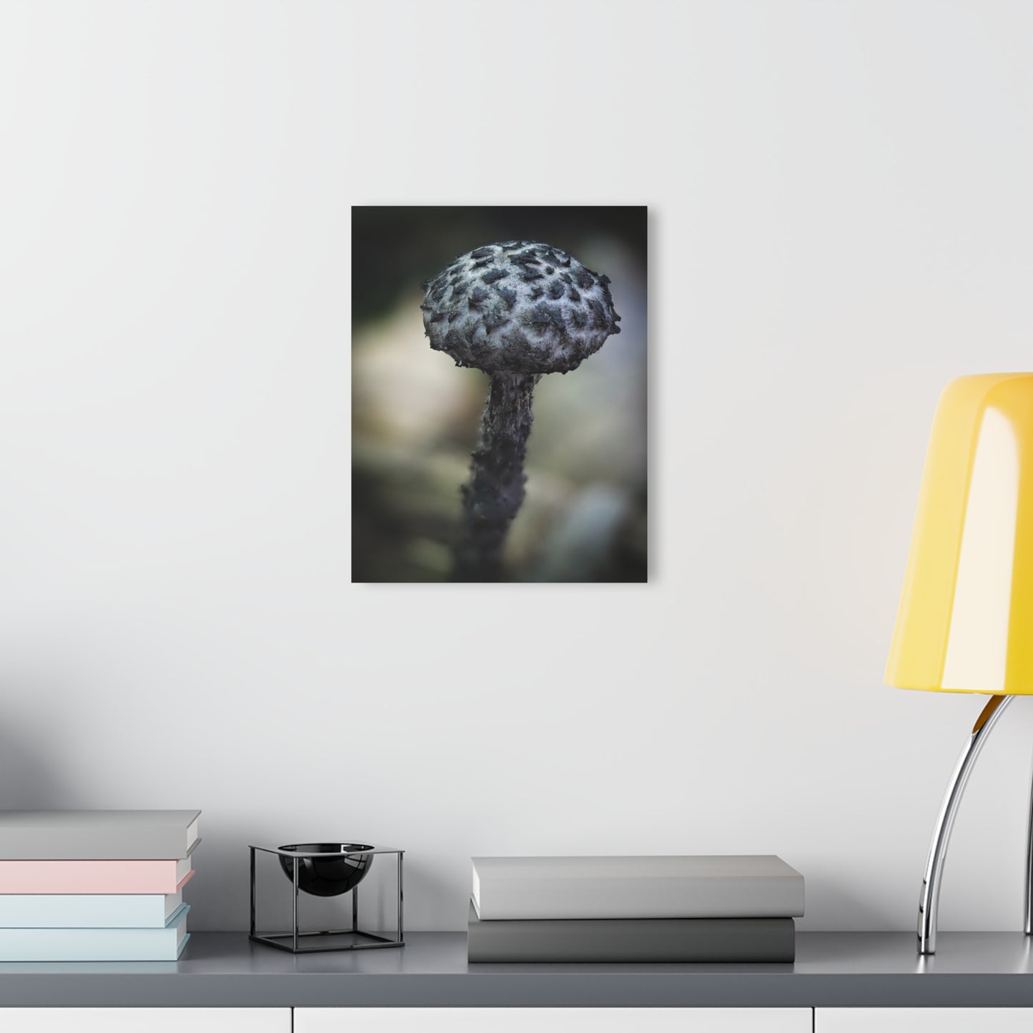 Old man of the woods- Acrylic Prints (French Cleat Hanging)