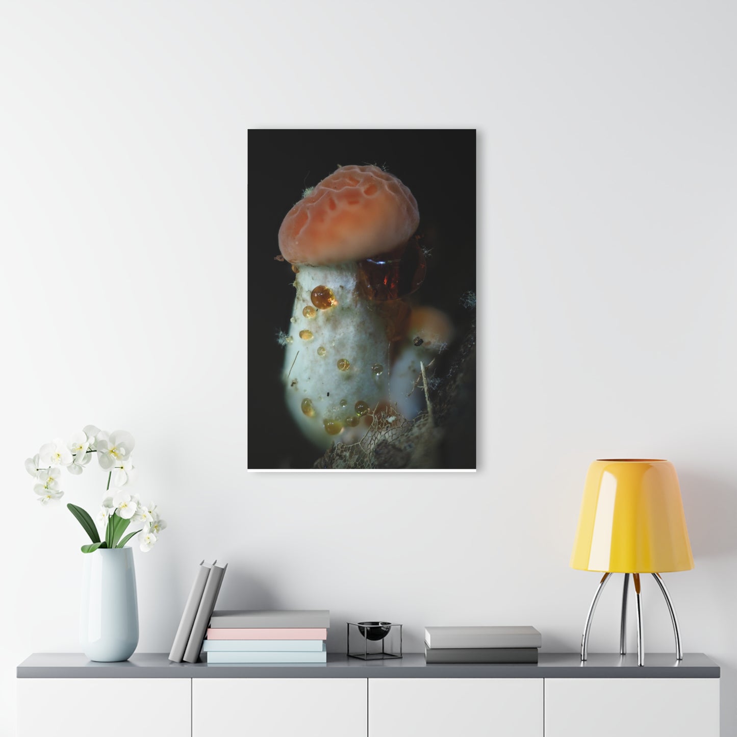 Acrylic Prints (French Cleat Hanging)