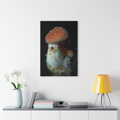 Acrylic Prints (French Cleat Hanging)