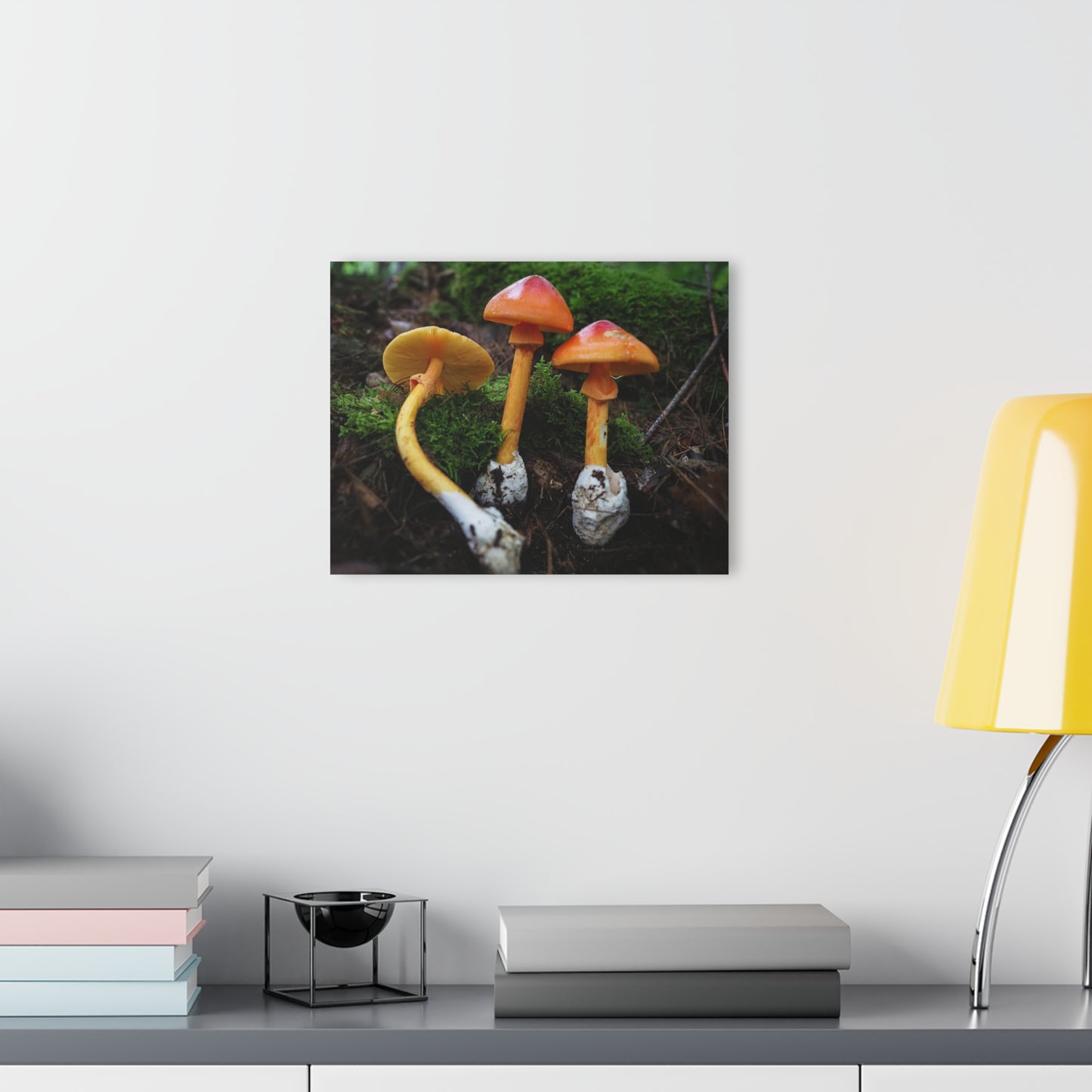 Amanita jacksonii- Acrylic Prints (French Cleat Hanging)
